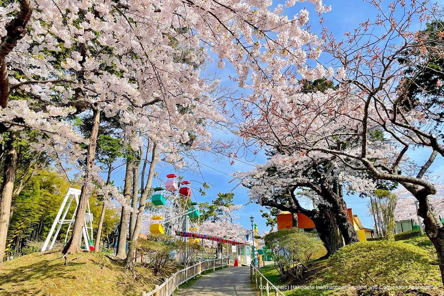 🏞️ 카구라오카 공원 (카구라오카 코엔) 이미지 6